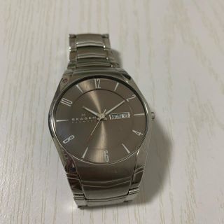 スカーゲン(SKAGEN)のSKAGEN(スカーゲン) 腕時計(腕時計(アナログ))