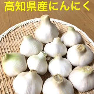 ★高知県産★　無農薬　にんにく　ニンニク　大蒜　1キロ(野菜)