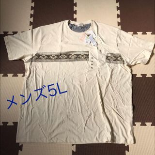 5L 半袖Tシャツ メンズ 抗菌素材 大きいサイズ(Tシャツ/カットソー(半袖/袖なし))