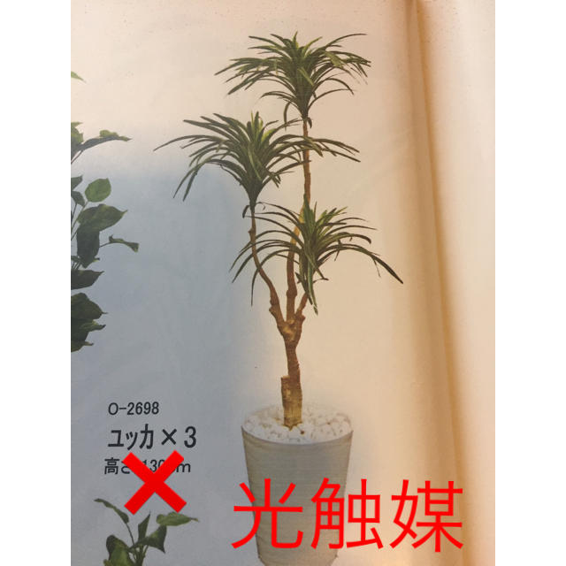 驚きの安さ 光触媒 人工観葉植物 抗菌消臭 ウォールグリーン ユッカ 3 100 の保証 Www Kobis Pl