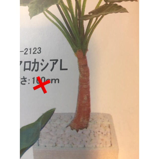 光触媒 人工観葉植物 抗菌消臭 ウォールグリーン アロカシアL90100