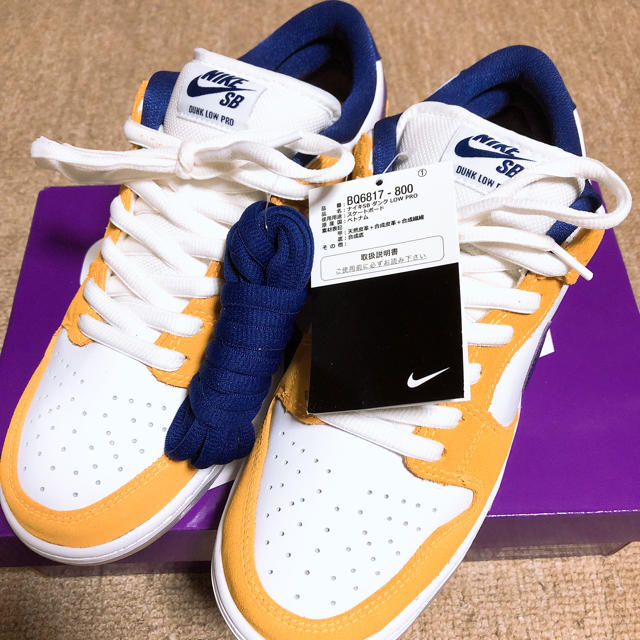 メンズNIKE SB DUNK LOW