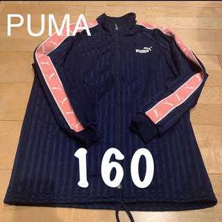 プーマ(PUMA)のpuma プーマ　ジャージ　上のみ　160cm(ジャケット/上着)