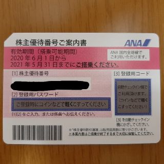 エーエヌエー(ゼンニッポンクウユ)(ANA(全日本空輸))のANA株主優待券（2020年6月〜2021年5月）(その他)