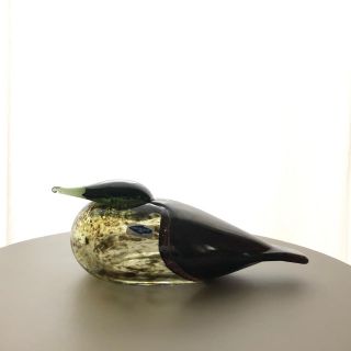 イッタラ(iittala)のNuutajarvi Eider Female Oiva Toikka バード(置物)