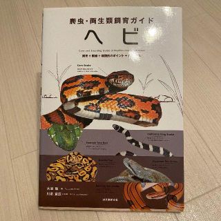 爬虫・両生類飼育ガイド　ヘビ(趣味/スポーツ/実用)