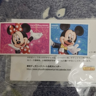 Disney - ディズニー チケット ペアの通販｜ラクマ