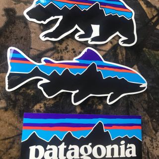 パタゴニア(patagonia)の★最新作★新品未使用　パタゴニア　フィッツロイ柄ステッカー　3枚セット(その他)