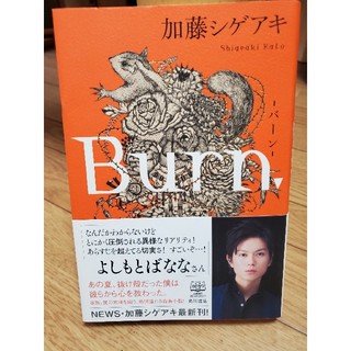 Ｂｕｒｎ．(文学/小説)