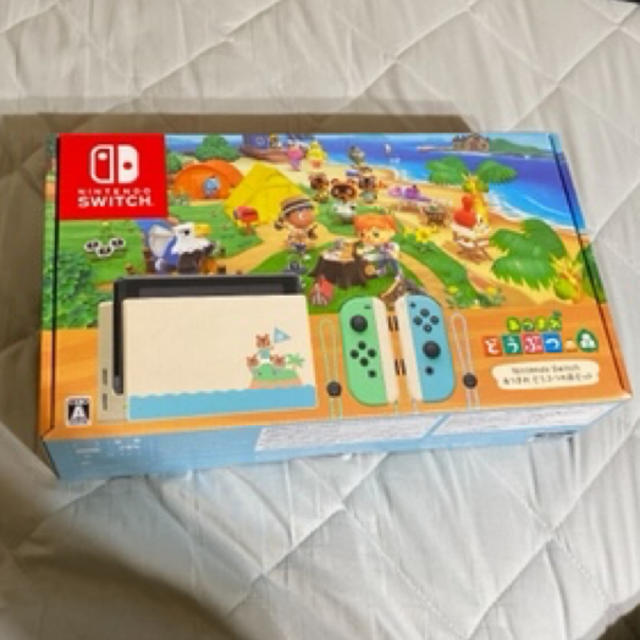 偉大な - Switch Nintendo Nintendo 同梱版 あつまれどうぶつの森