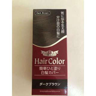 ドクターシーラボ(Dr.Ci Labo)のドクターシーラボ 簡単ひと塗り白髪カバー ダークブラウン(10mL)(白髪染め)