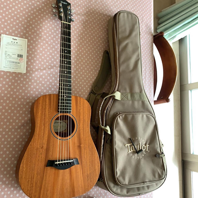 テイラーBABY TAYLOR BT2(ケース・調整器具+おまけ付き)