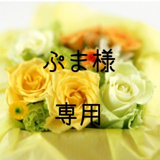 ぷま様専用  お米　令和元年　愛媛県産ヒノヒカリ　玄米　20㎏(米/穀物)