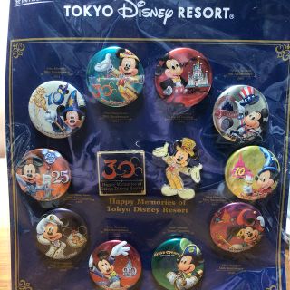 ディズニー(Disney)のTDR 東京ディズニーリゾート 缶バッチセット　ピンバッジ付き　30周年　新品(バッジ/ピンバッジ)