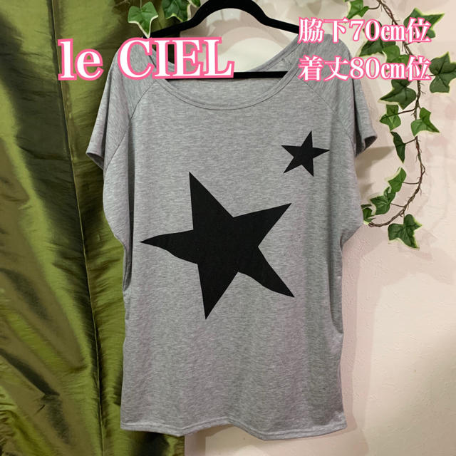 le CIEL Tシャツ　大きいサイズ　週末セール レディースのトップス(Tシャツ(半袖/袖なし))の商品写真