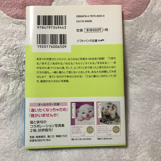 Softbank(ソフトバンク)のこねこ暮らし エンタメ/ホビーの本(文学/小説)の商品写真