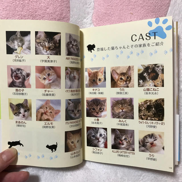 Softbank(ソフトバンク)のこねこ暮らし エンタメ/ホビーの本(文学/小説)の商品写真