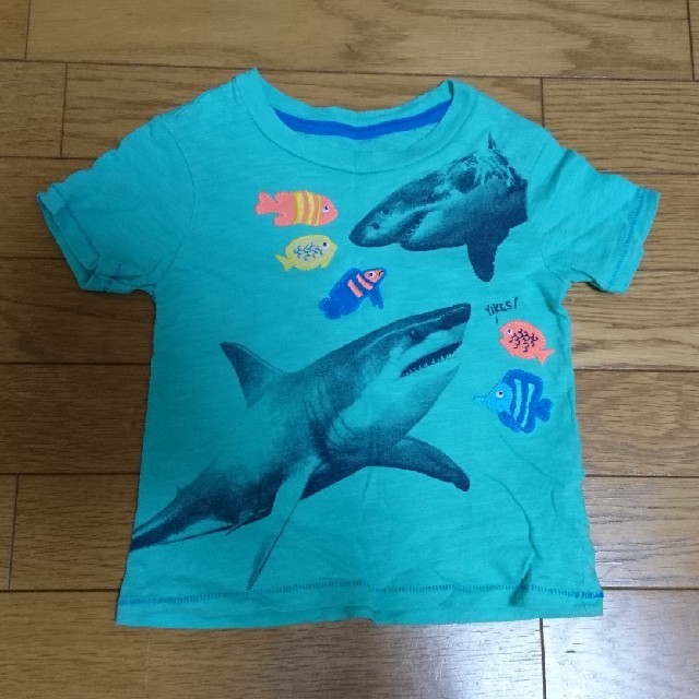 babyGAP(ベビーギャップ)のbaby Gap Tシャツ 100 サメ 魚 グリーン キッズ/ベビー/マタニティのキッズ服男の子用(90cm~)(Tシャツ/カットソー)の商品写真