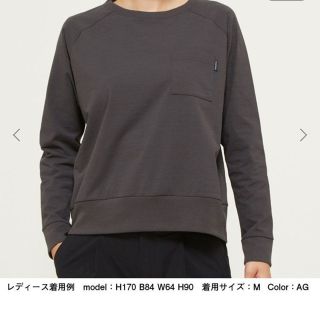 ザノースフェイス(THE NORTH FACE)のTNF ノースフェイスロングスリーブエアリーリラックスティー（レディース）(Tシャツ(長袖/七分))