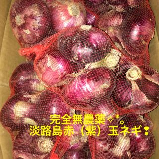 完全無農薬 淡路島・赤玉葱❣︎5㎏(野菜)