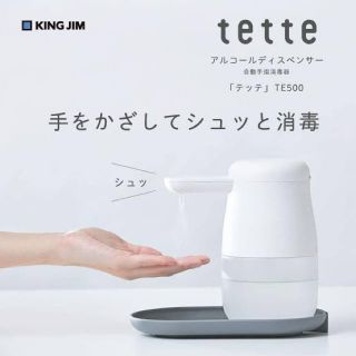 キングジム(キングジム)のKING JIM tette テッテ TE500 領収書対応(その他)