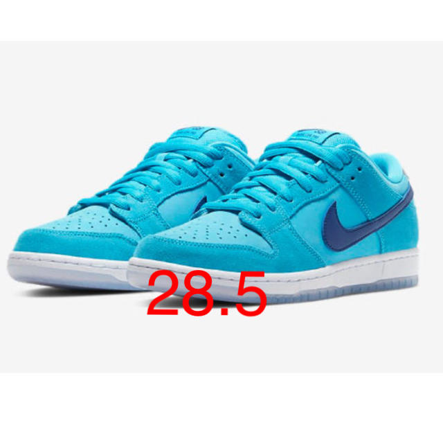 NIKE SB DUNK LOW BLUE FURY 28.5cm