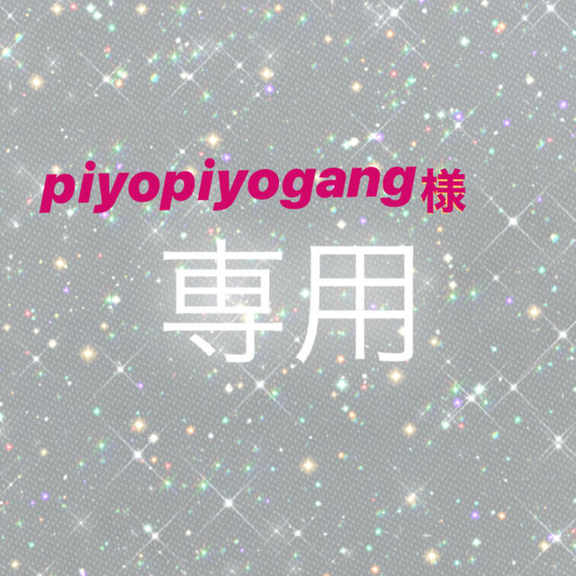 piyopiyogang様専用✨ ハンドメイドのハンドメイド その他(その他)の商品写真