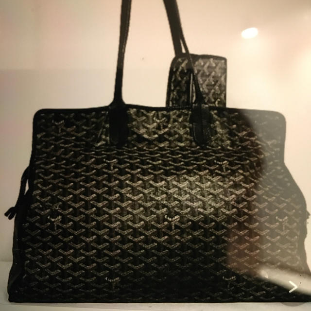 GOYARD(ゴヤール)の正規GOYARD ゴヤール アーディGM  ポーチ付ペット用キャリー その他のペット用品(かご/ケージ)の商品写真