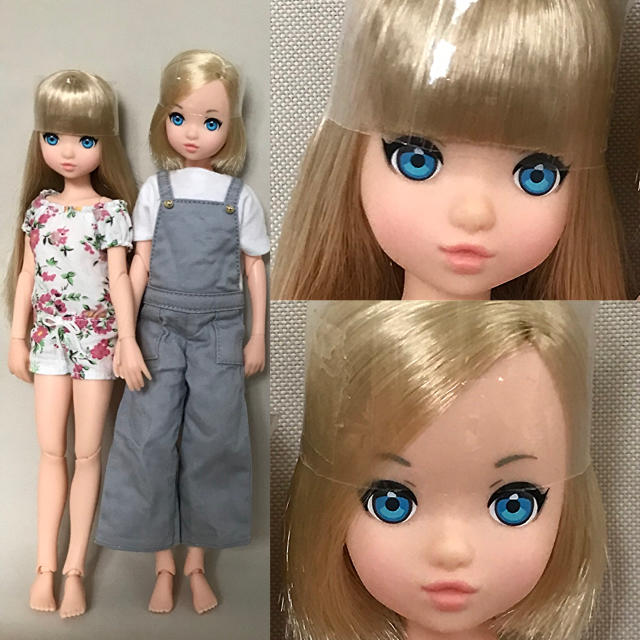 ゆうパック ヤフオク! - Fresh ruruko 17AZ boy ペットワークス