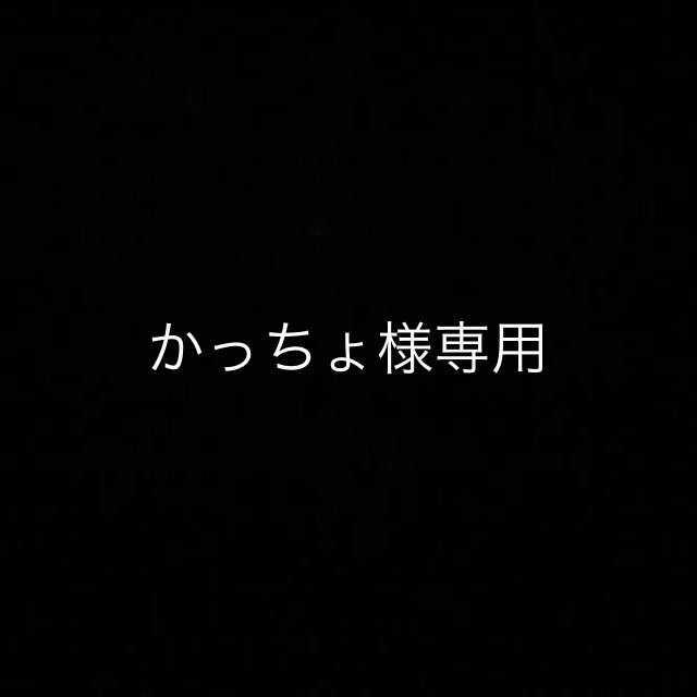 かっちょ様専用 | visitsantaflavia.it