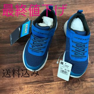 スケッチャーズ(SKECHERS)のSKECHERS17㎝(スニーカー)