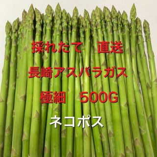 ネコポス　長崎産アスパラガス　極細　500G(野菜)