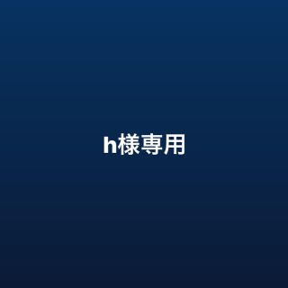 h様専用ページ(その他)