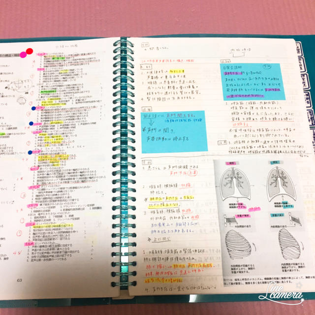 言語 聴覚 士 国家 試験