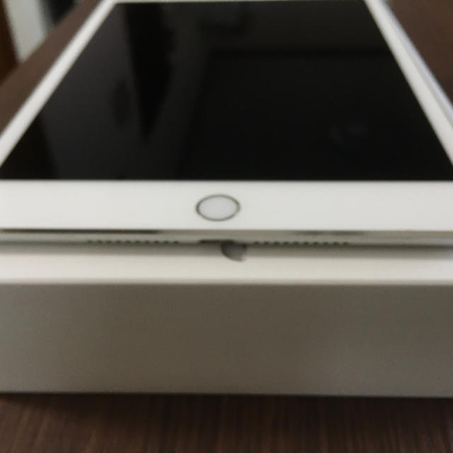 iPad mini4 WiFi 16G