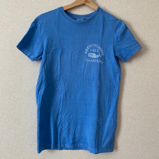 Hollister(ホリスター)のhollister Tシャツ メンズのトップス(Tシャツ/カットソー(半袖/袖なし))の商品写真