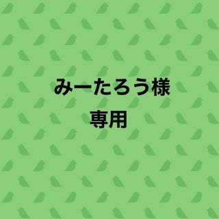 ニットプランナー(KP)の専用(スカート)