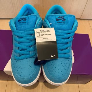 ナイキ(NIKE)のNIKE SB DUNK LOW PRO BLUE FURY(スニーカー)