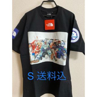 ザノースフェイス(THE NORTH FACE)の[送料込] ザ　ノースフェイス  トランスアンタークティカ Tシャツ(Tシャツ/カットソー(半袖/袖なし))