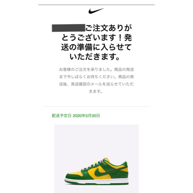 Nike Dunk Low SP Brazil  28cm 1