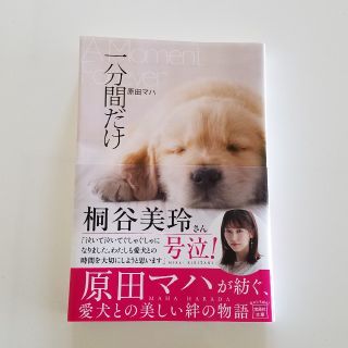 本 小説 犬の本　一分間だけ 原田ハマ(文学/小説)