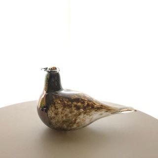 イッタラ(iittala)の*専用*Nuutajarvi Snipe Oiva Toikka バード 箱なし(置物)