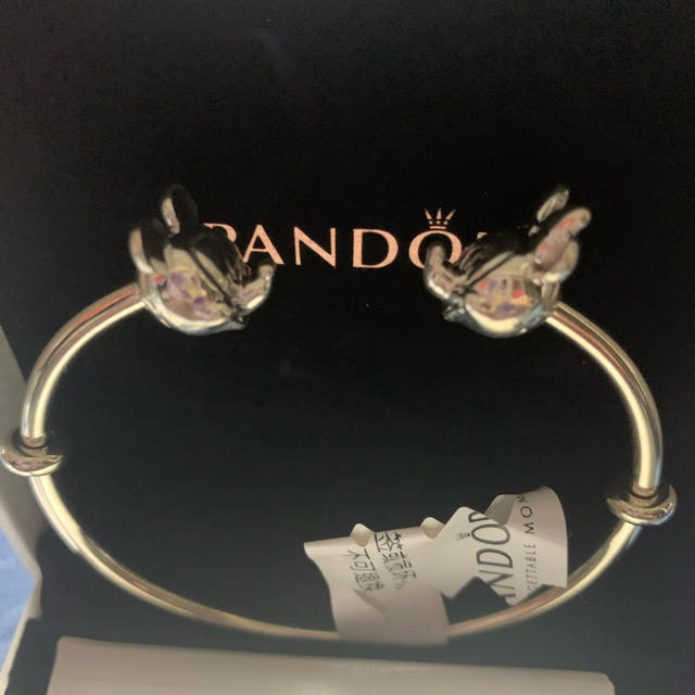 pandora パンドラブレスレット　未使用 レディースのアクセサリー(ブレスレット/バングル)の商品写真