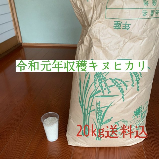 近江米 キヌヒカリ 玄米 白米 米 20kg送料込 ご飯 飯 御飯