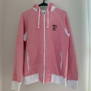 ステューシー(STUSSY)のステューシー ギンガムチェックパーカー(パーカー)