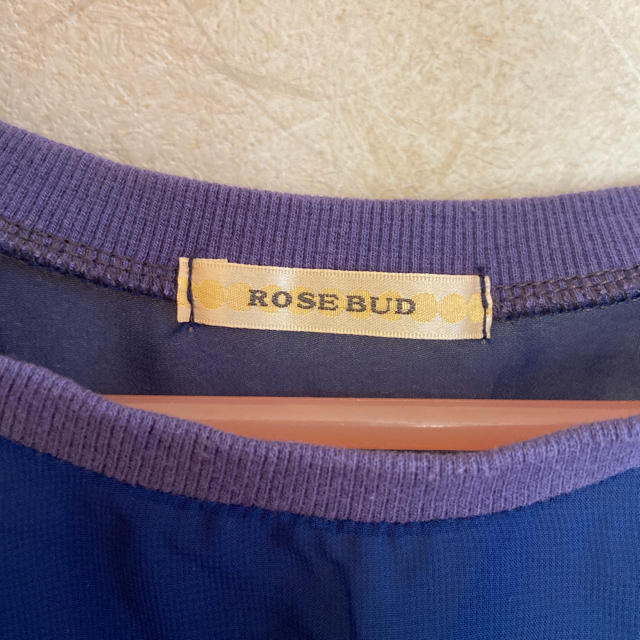 ROSE BUD(ローズバッド)のROSE BUD☆シースルートップス レディースのトップス(カットソー(長袖/七分))の商品写真