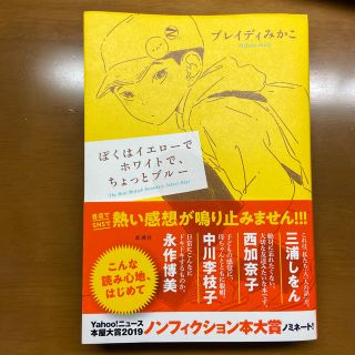 ぼくはイエローでホワイトで、ちょっとブルー(文学/小説)