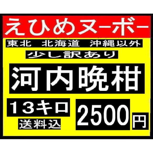 ★　か大１２　えひめヌーボーの 　少し訳あり　河内晩柑　13キロ　 食品/飲料/酒の食品(フルーツ)の商品写真