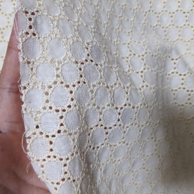 サークルレース　刺繍生地　ナチュラル　生成り ハンドメイドの素材/材料(生地/糸)の商品写真