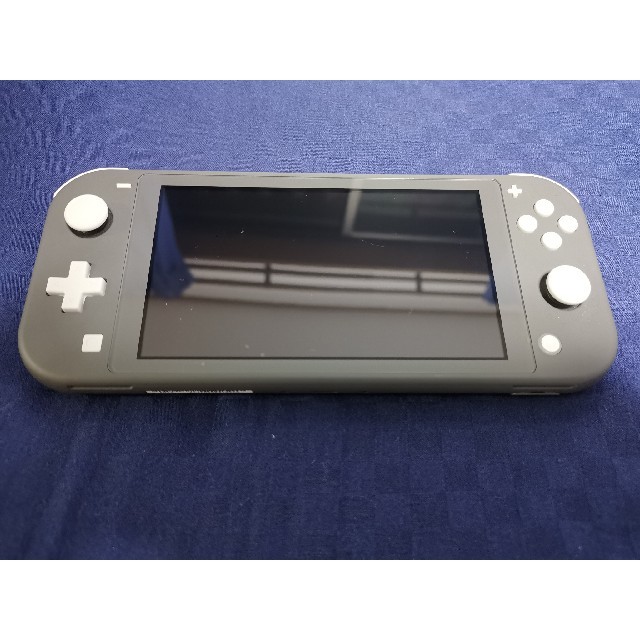 Nintendo Switch Lite グレー どうぶつの森 ケース付き 美品